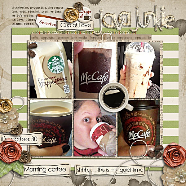 java junkie
