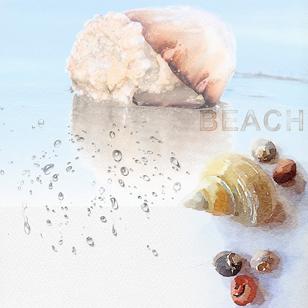 Jellyfish 2