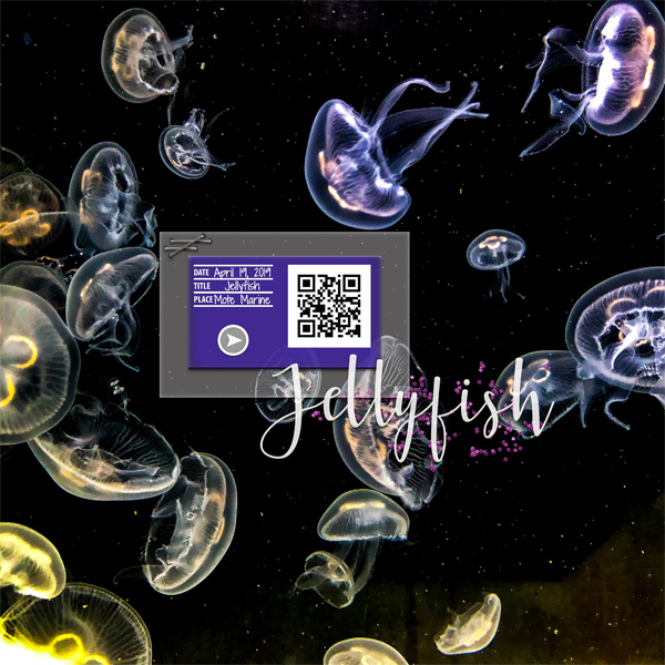 Jellyfish