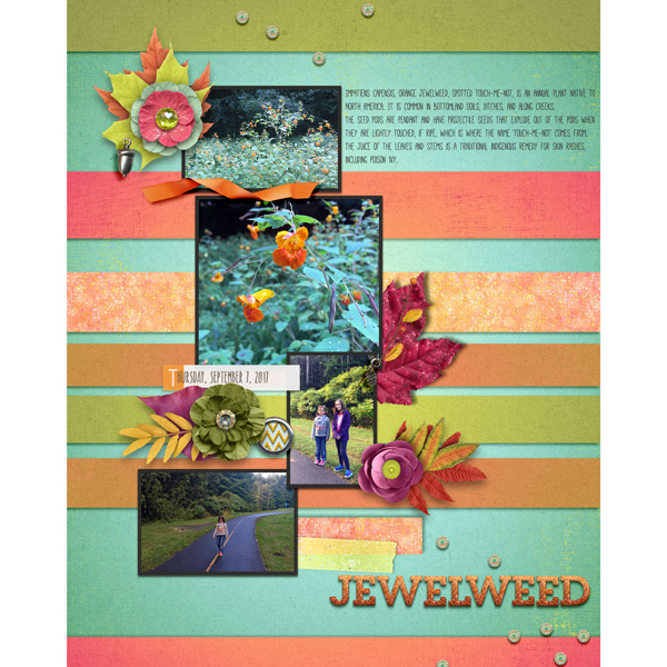 Jewelweed