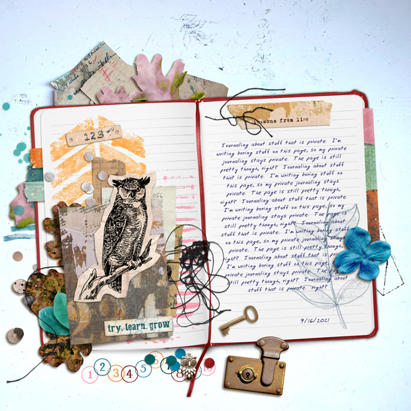 Journal Page