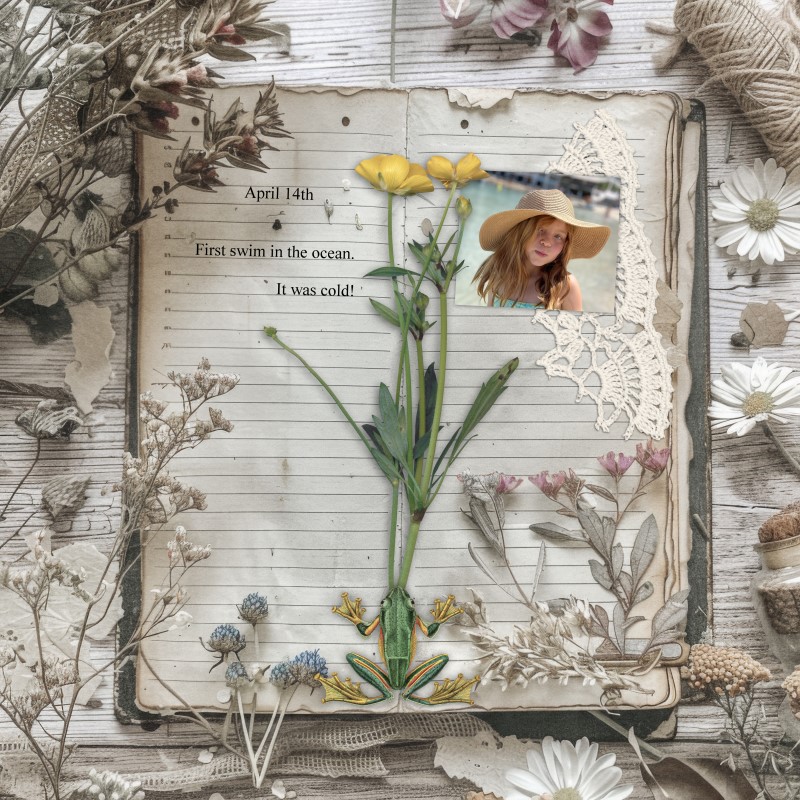Journal