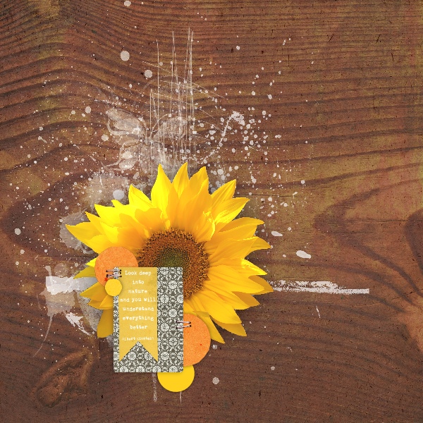 Journaling Challenge - Aug 2014