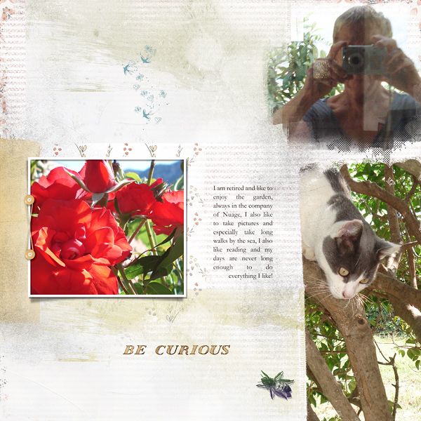 Journaling challenge_Nov.2019