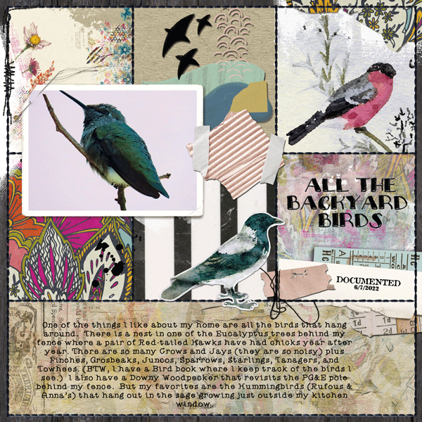 Journaling_backyardbirds