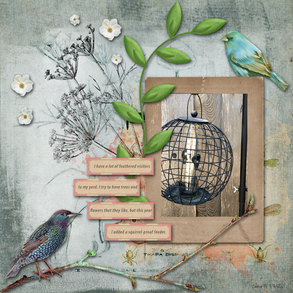 Journaling_birdfeeder