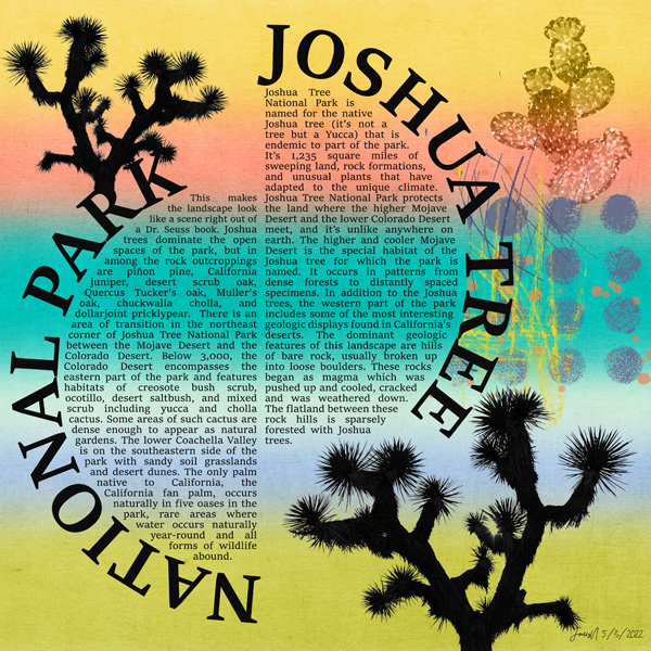Journaling_joshua Tree