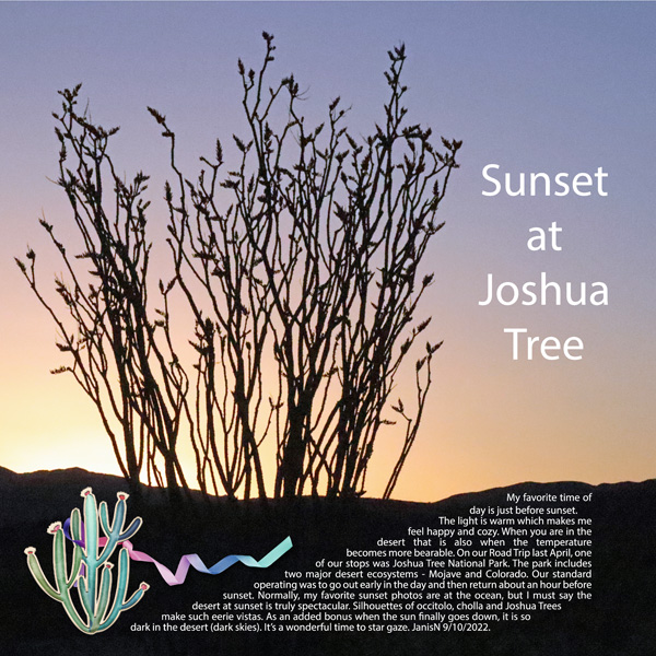 Journaling_sunsetatjoshuatree