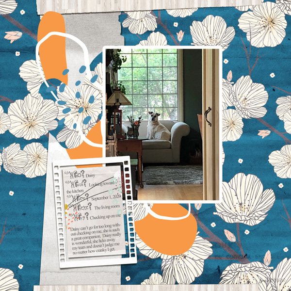 Journaling_who