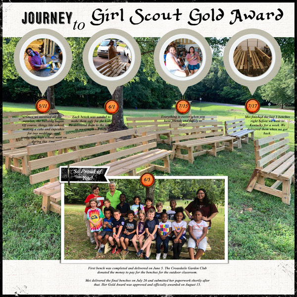 Journey to GS Gold Award - Moc Day 20