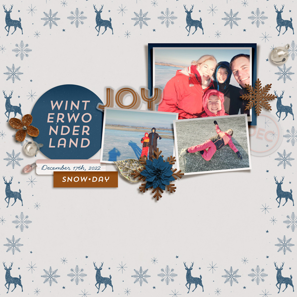 Joy In Winter Wonderland