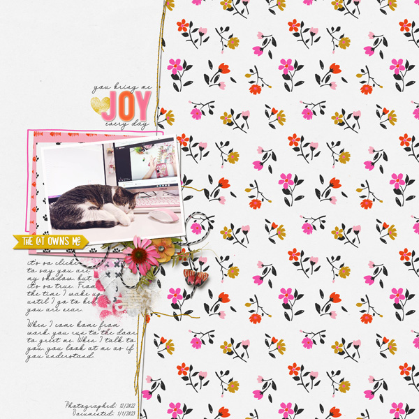 Joy - Jan 1