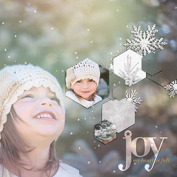 joy2013