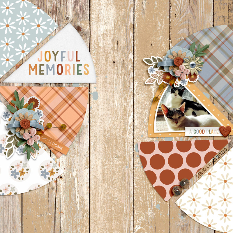 Joyful memories
