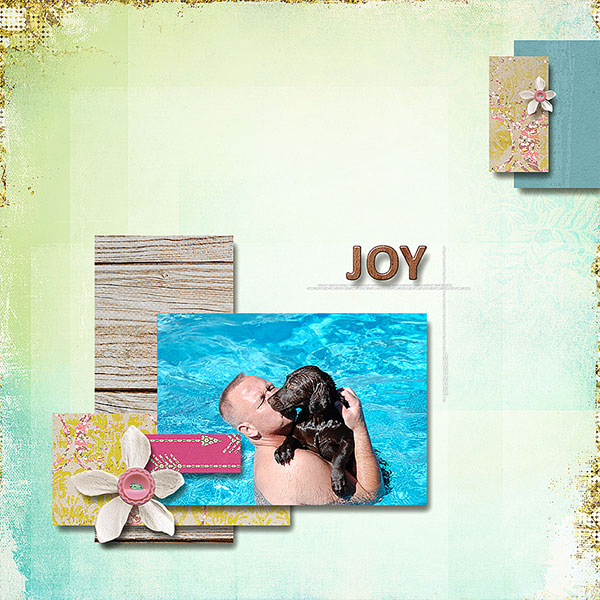 JOYWeb