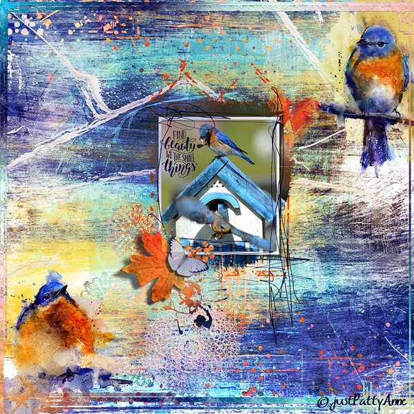 JPA_nbk_Sometimes BlueBirds