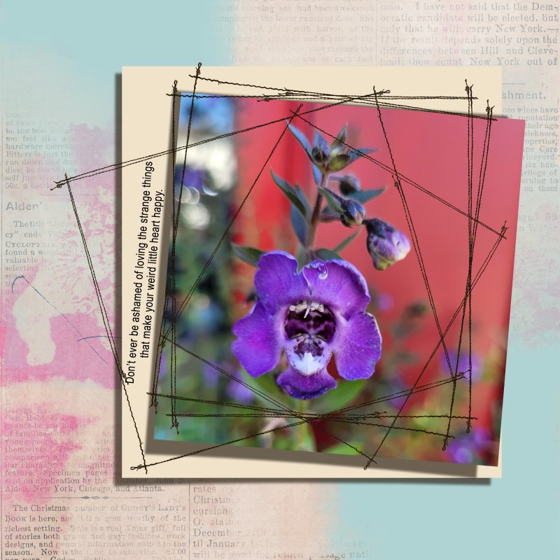 Judgey Flower