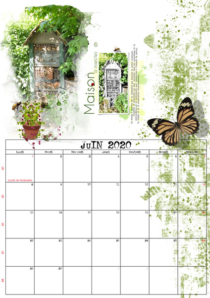 Juin-2020-@