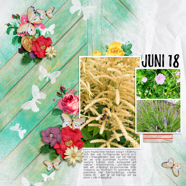 July-18 Photography challenge