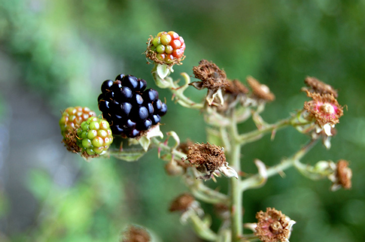 July 18th Photography : Getting Close