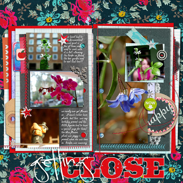 July 19th Photography :  GettingClose-