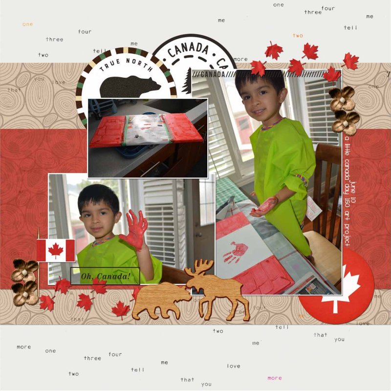 July 2017 Monthly Scraplift Challenge