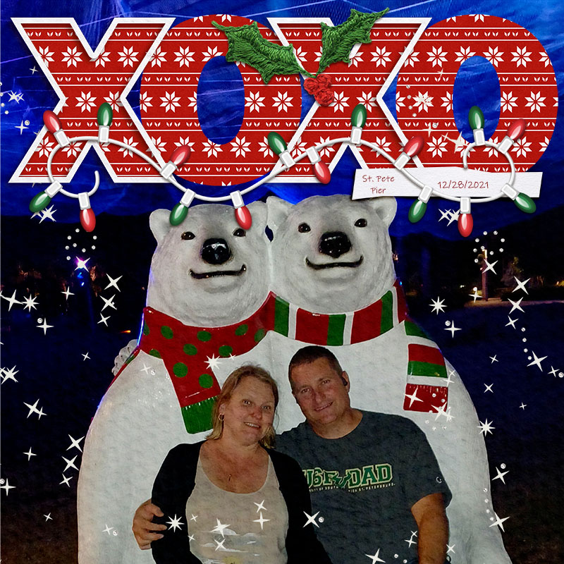 July 2022 Template Challenge - Polar Bears