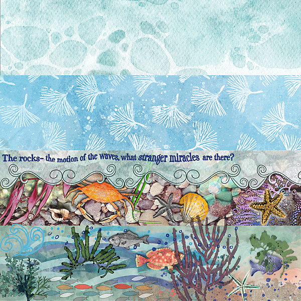 July AJ Muse Wk2 - Rock Pools