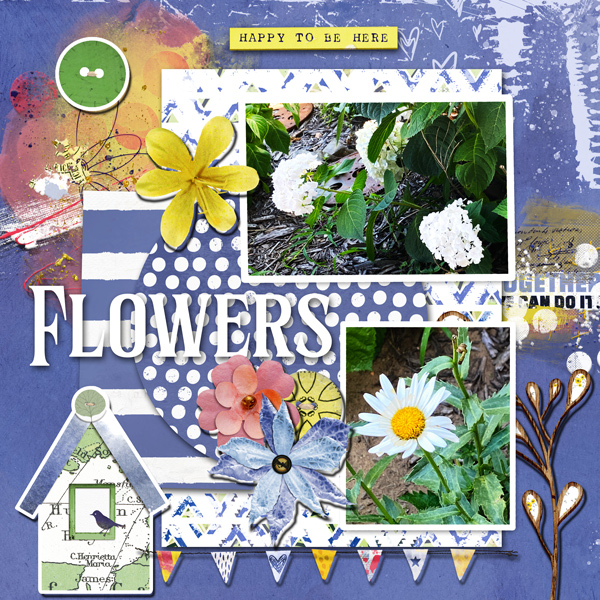 July MIS Challenge