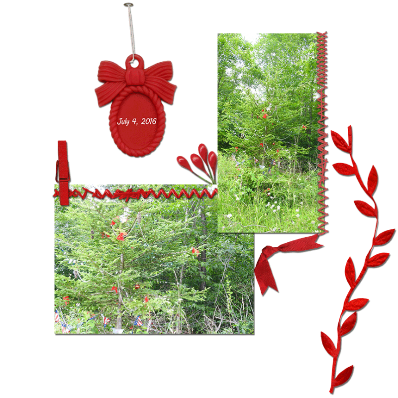 July-Tree