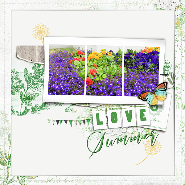 July2019_Photography Chall_web