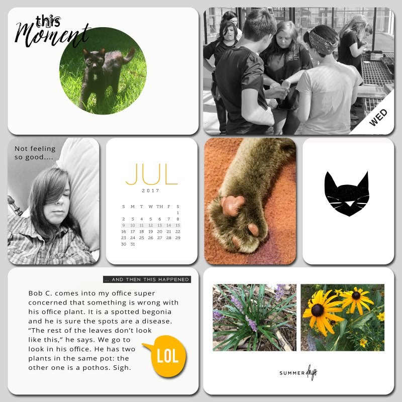 July_2017_Style_Challenge