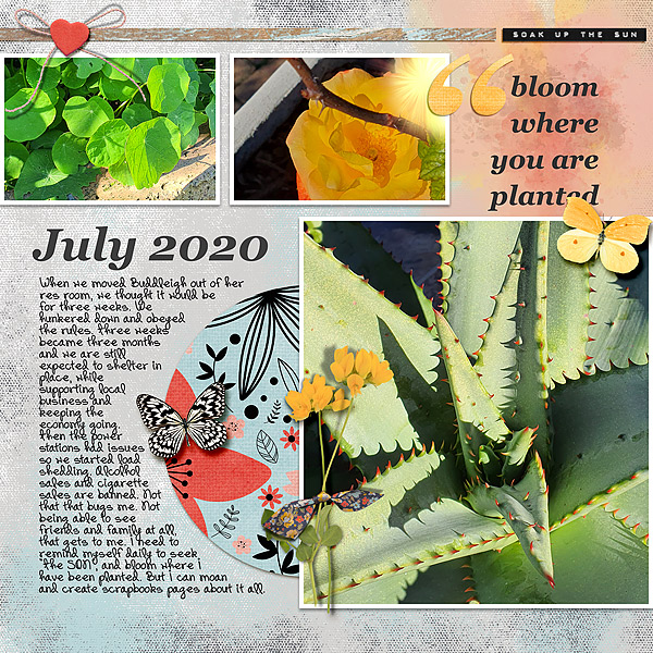 JulyBloom