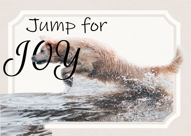 Jump-for-Joy