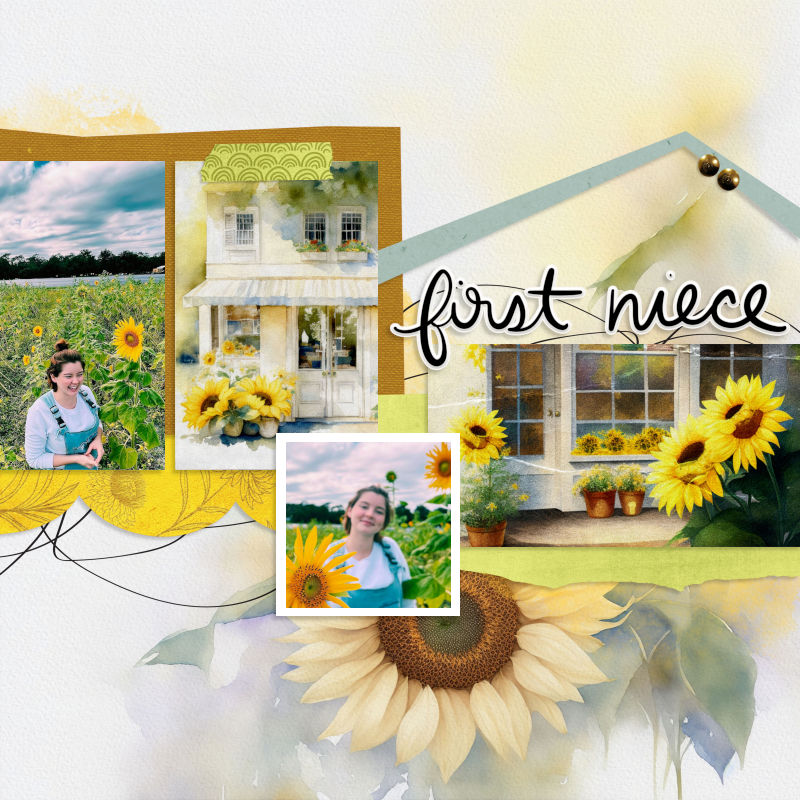 June 20 Slow Scrap