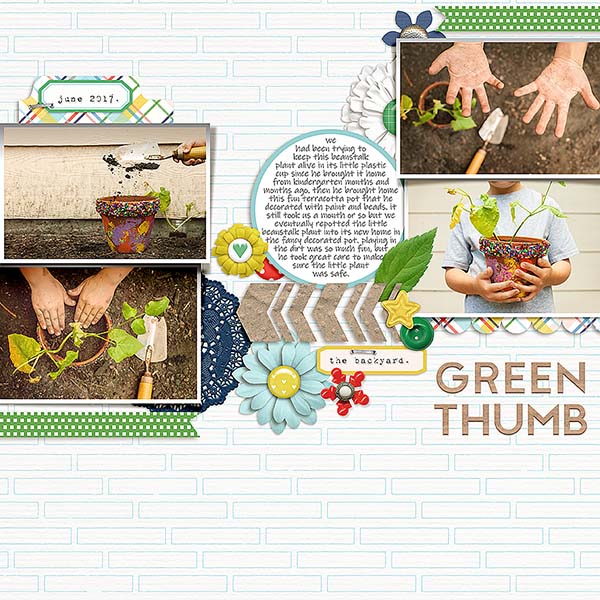 June 2017 LT Plant And Pot - MOC 11 Multiple Photos