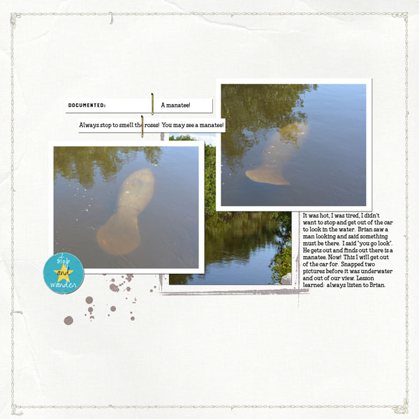 June 2018 Lynne Grieveson Template Challenge