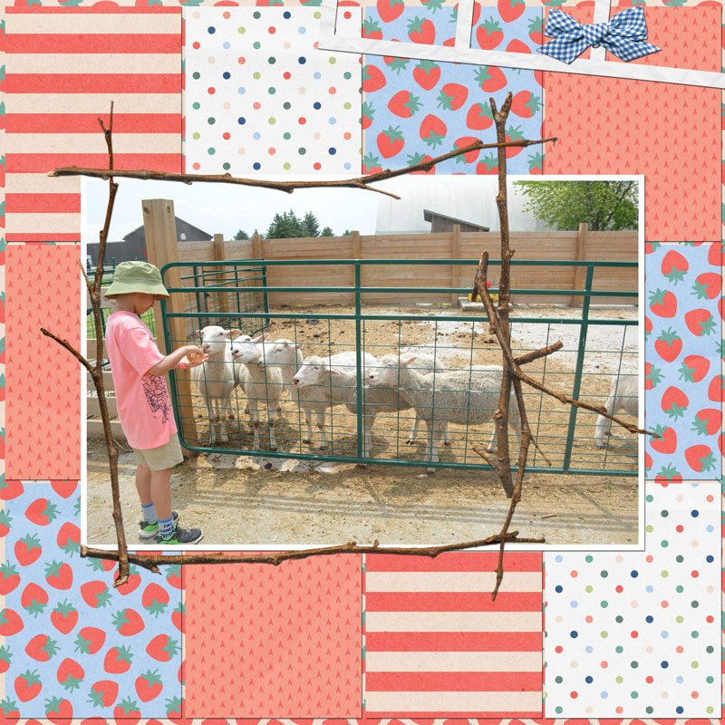 June-2024-TLP-monthly-Scraplift