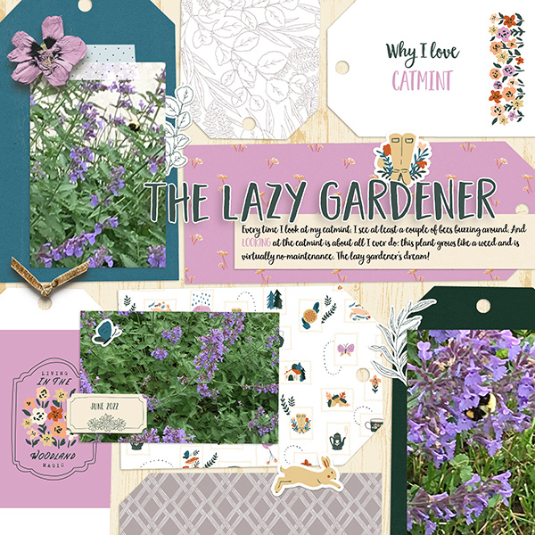 June 22 Template Challenge: Lazy Gardener