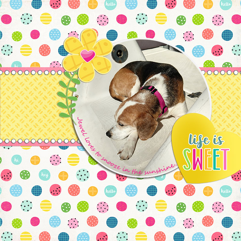 June Inspiration - Life Is Sweet