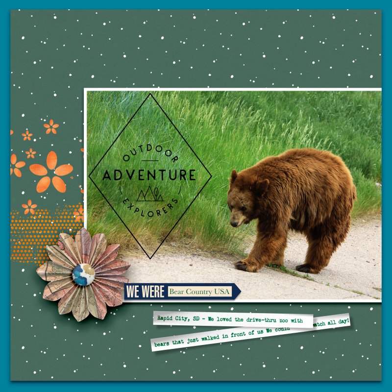 June Inspiration