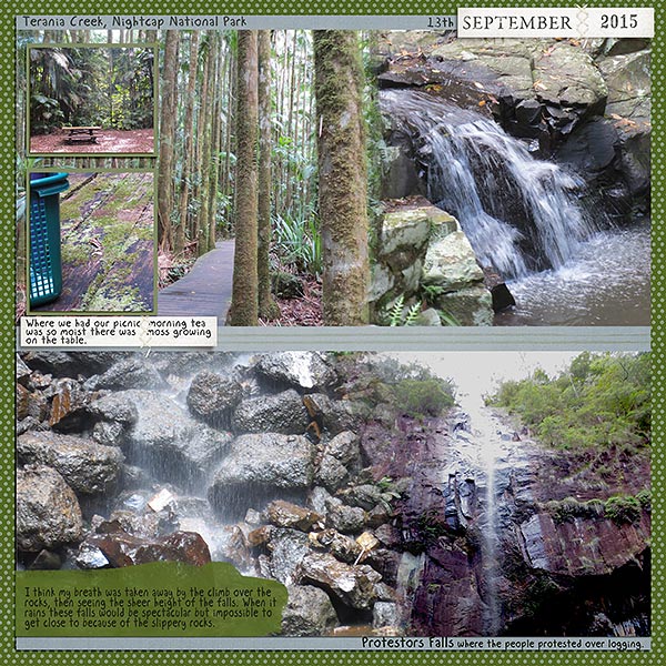 June---journal_Protestors-Falls