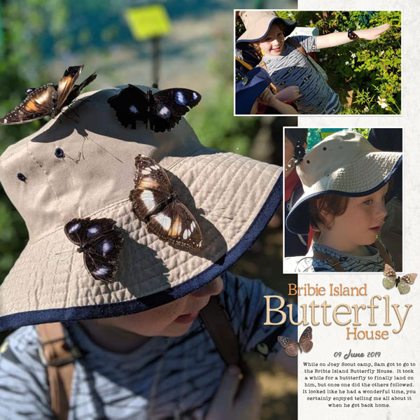 June scraplift - Butterfly House