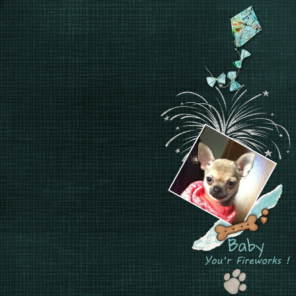 June Scraplift Chuck