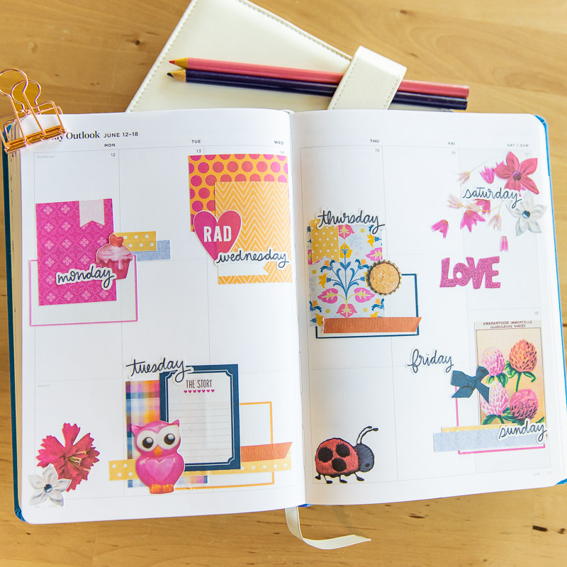 June Week 2 Planner