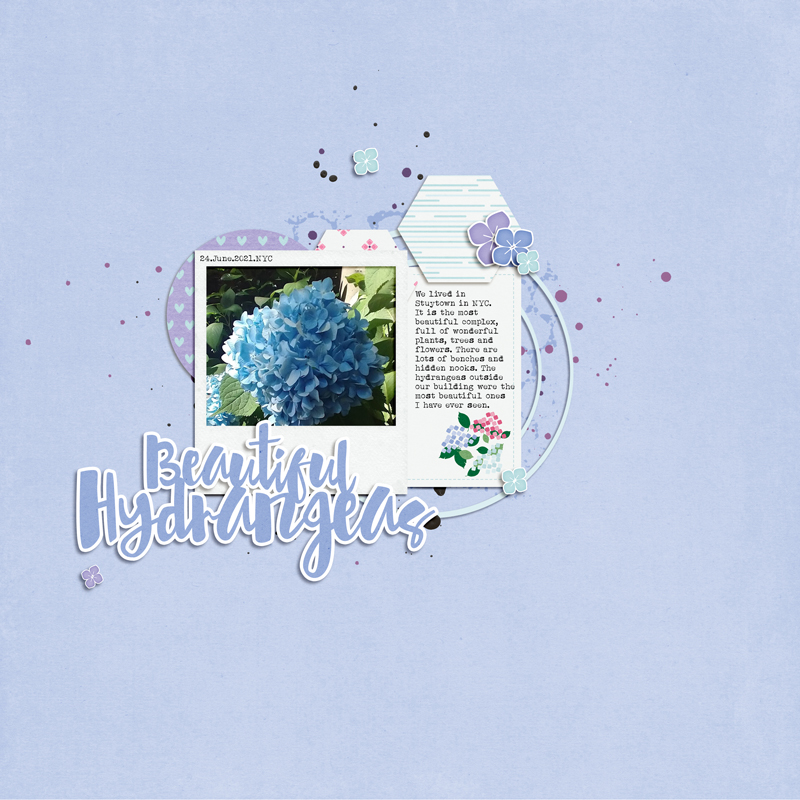 June23_Template_Hydrangea