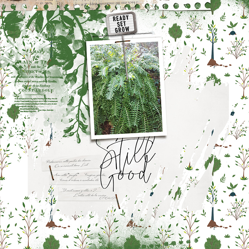 Jungle