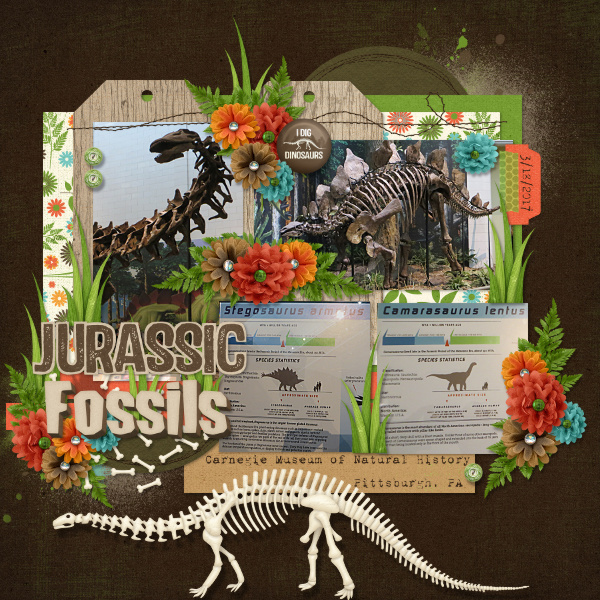 Jurassic Fossils