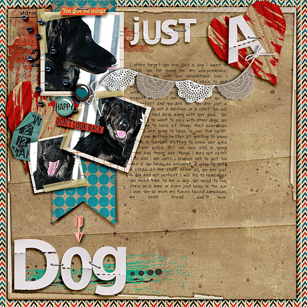 Just A DOG
