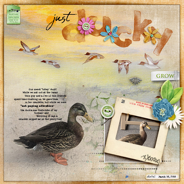 Just Ducky